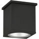 Arena 100 LED 4.33 inch Black Outdoor Ceiling Mount